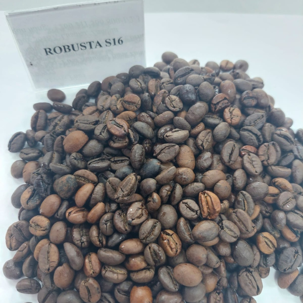 Cà Phê Hạt Rang Robusta