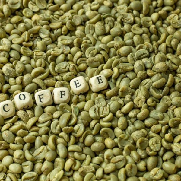 Cà Phê Nhân Xanh Robusta