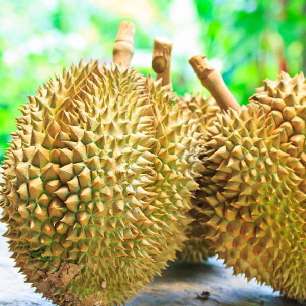 Sầu Riêng Tươi